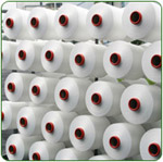 Tribeni Technocom & Suyog Synthetics